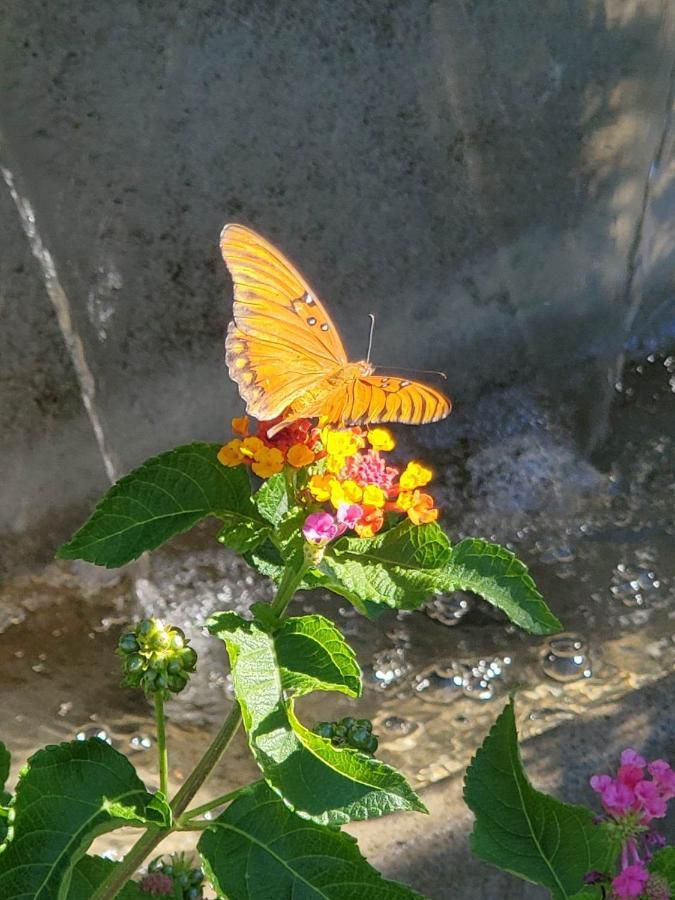 רדינג The God Spa מראה חיצוני תמונה